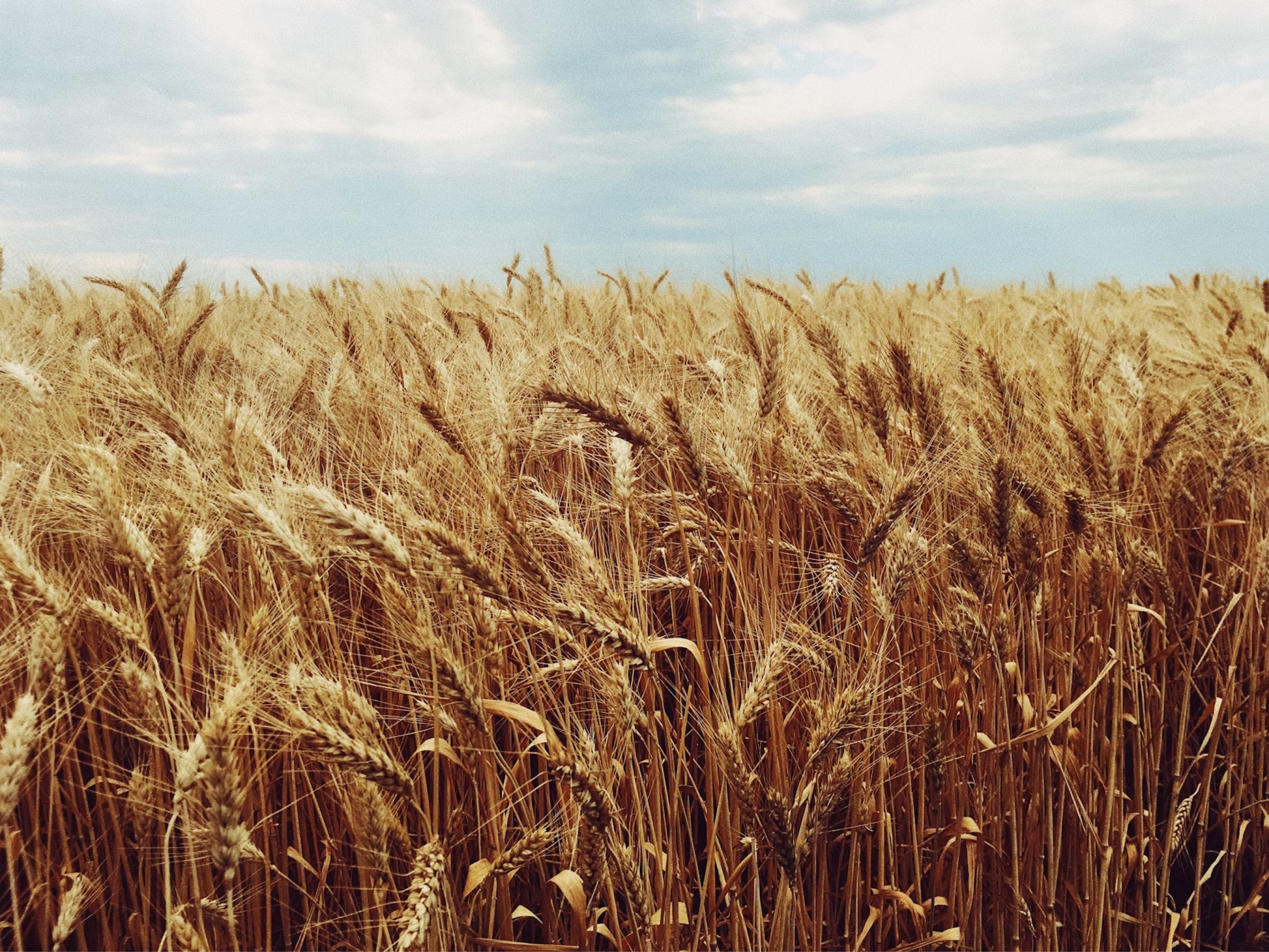 img-banner